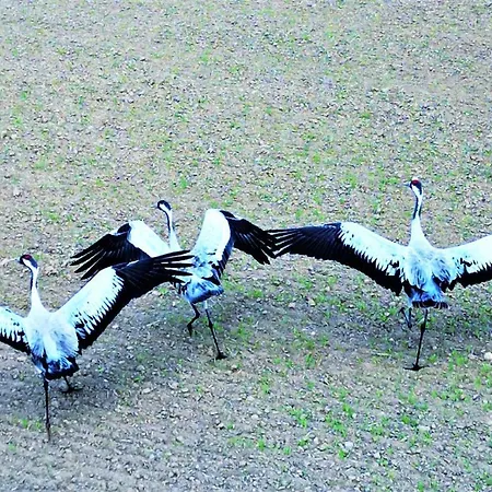 Appartement Marina Relax - Widok Na Jezioro, Parking Podziemny, Winda, Netflix, Tv55